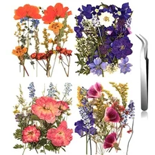 Nuanchu Pressed Flowers Bulk Dried Flower for Crafts, Dried Flower Leave 