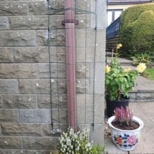 Wall Plant Support Trellis Mesh For Climbing Climbers Metal Frame Flexigro Panel