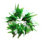 Bild 11 von 11