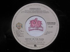 Ambrosia: No Big Deal / Cryin' In The Rain, 45 RPM VG+ (N8)