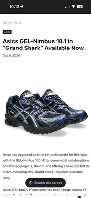 Asic gel nimbus 10.1