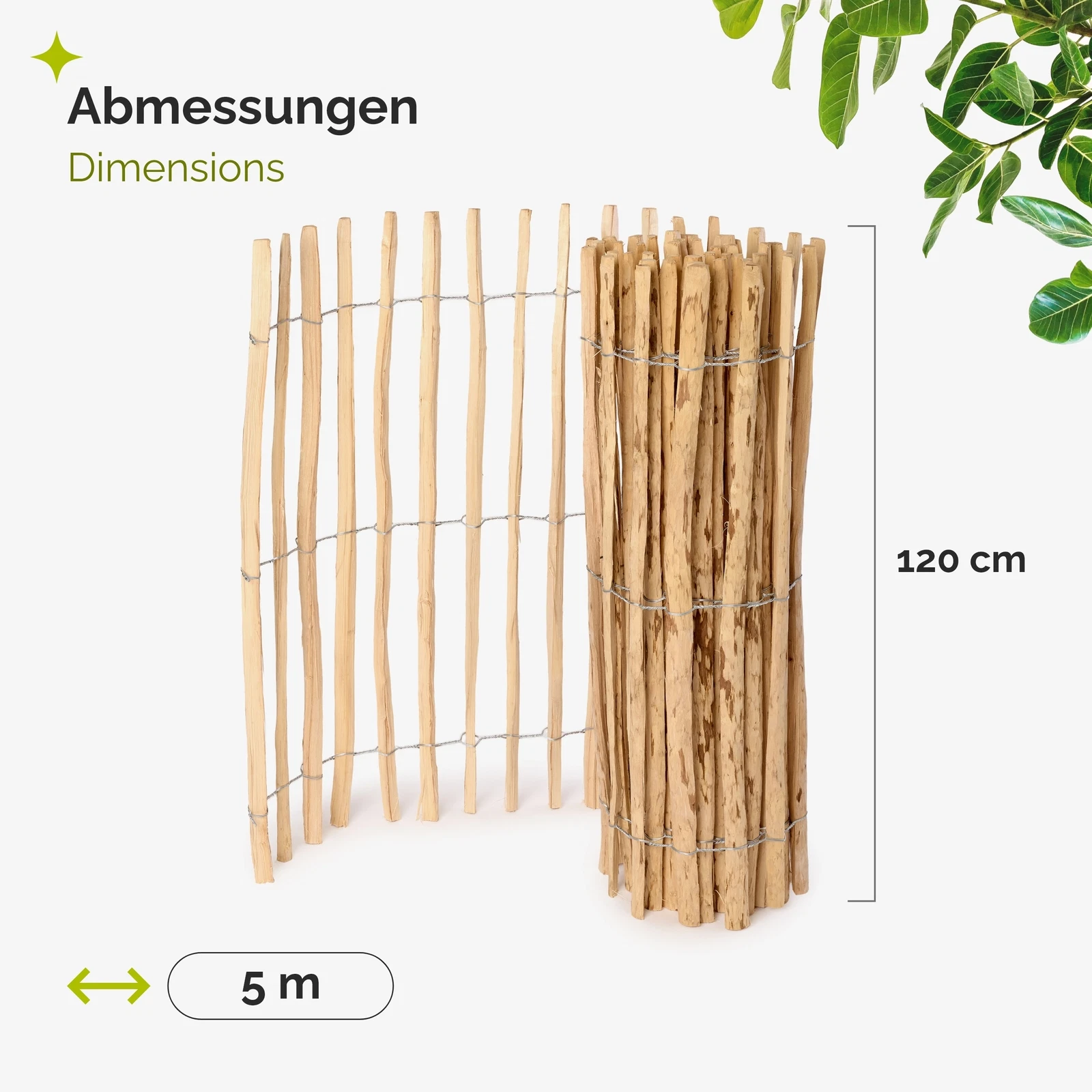 Bild 41 von 47