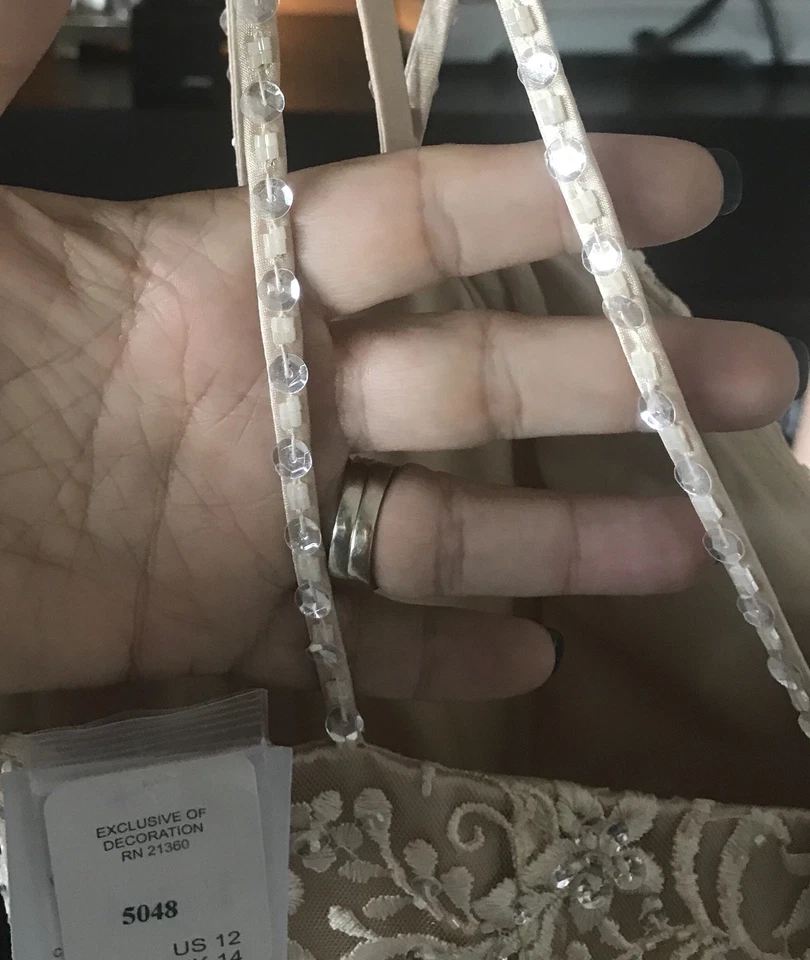 Talla 12 *Nunca Usado* Vestido de Boda Champagne Con Velo Dedo GRATIS NUEVO CON ETIQUETAS Foto 3 de 4