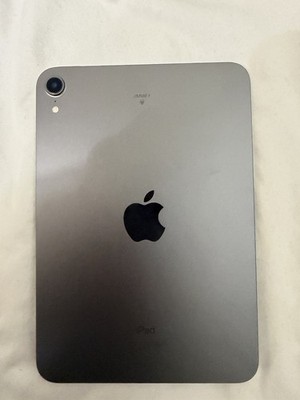 Apple iPad Series 64GB 8.3in Wi Fi Tablet, Gray Space Gray Model