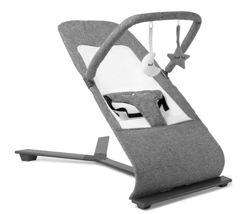 Baby Delight Alpine Deluxe Portable Bouncer Bouncer Seat Charcoal