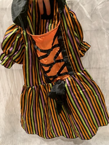 Dog Halloween Costume Xl Witch - Picture 4 of 9