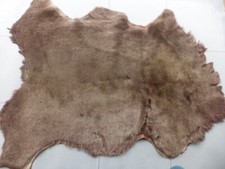 sheepskin shearling leather hide Shimmering Coffee Brown Thick hair Rustic back