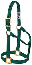 Hunter Green Yearling Halter Premium Nylon Triple Ply Design Heavy Duty Hardware