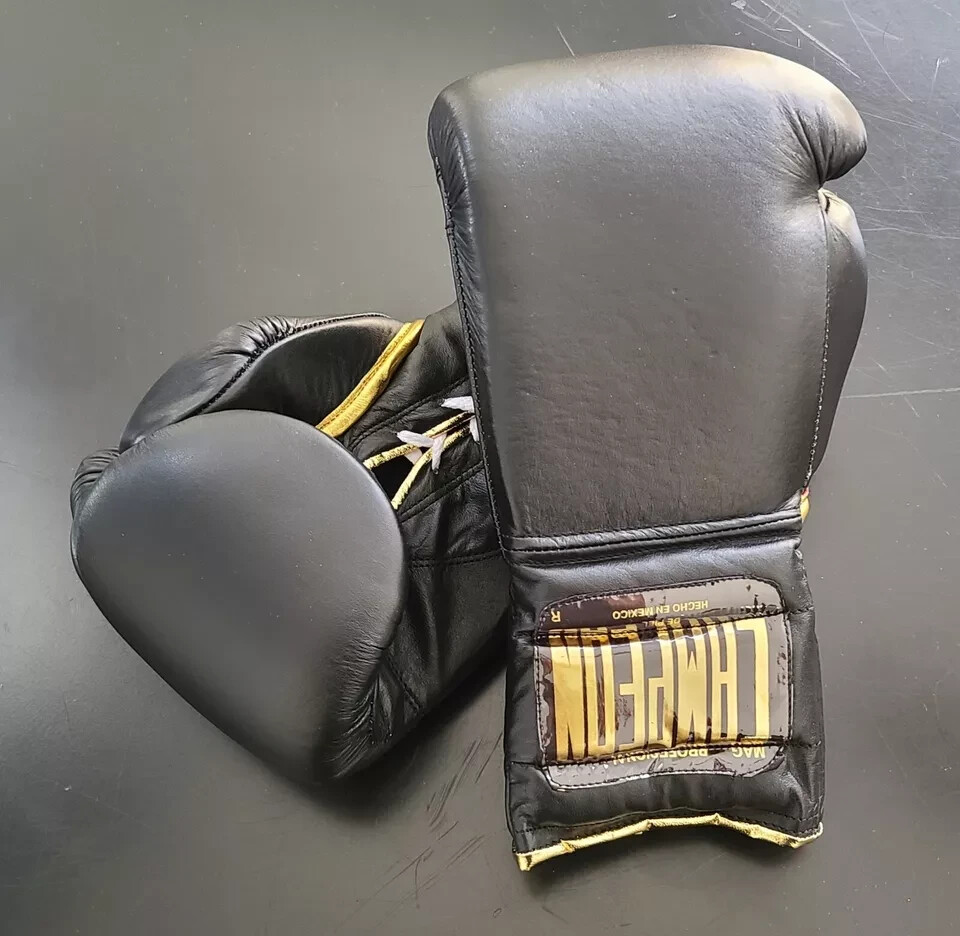CAMPEON／カンペオン／メキシコ製／ボクシンググローブ／8オンス Campeon Boxing Gloves - Professional Grade Genuine Leather Mexico