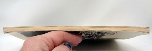 What Was It Like In The Concentration Camp At Dachau? SC Book - Picture 3 of 3