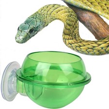 Reptile Food Container Terrarium Water Dish Leopard Gecko Feeding Bowl