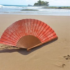 Christian Dior DIORIVIERA Orange Folding Fan Toile de Jouy