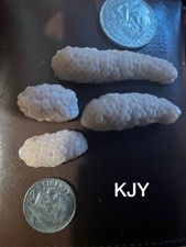 4 1 FREE Mixed Mystery Snail Egg Clutches