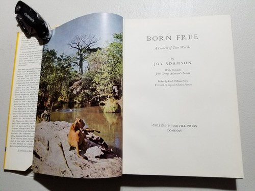 Born Free A Lioness of Two Worlds Joy Adamson 1964 Vintage Hardcover Book - Foto 2 di 9