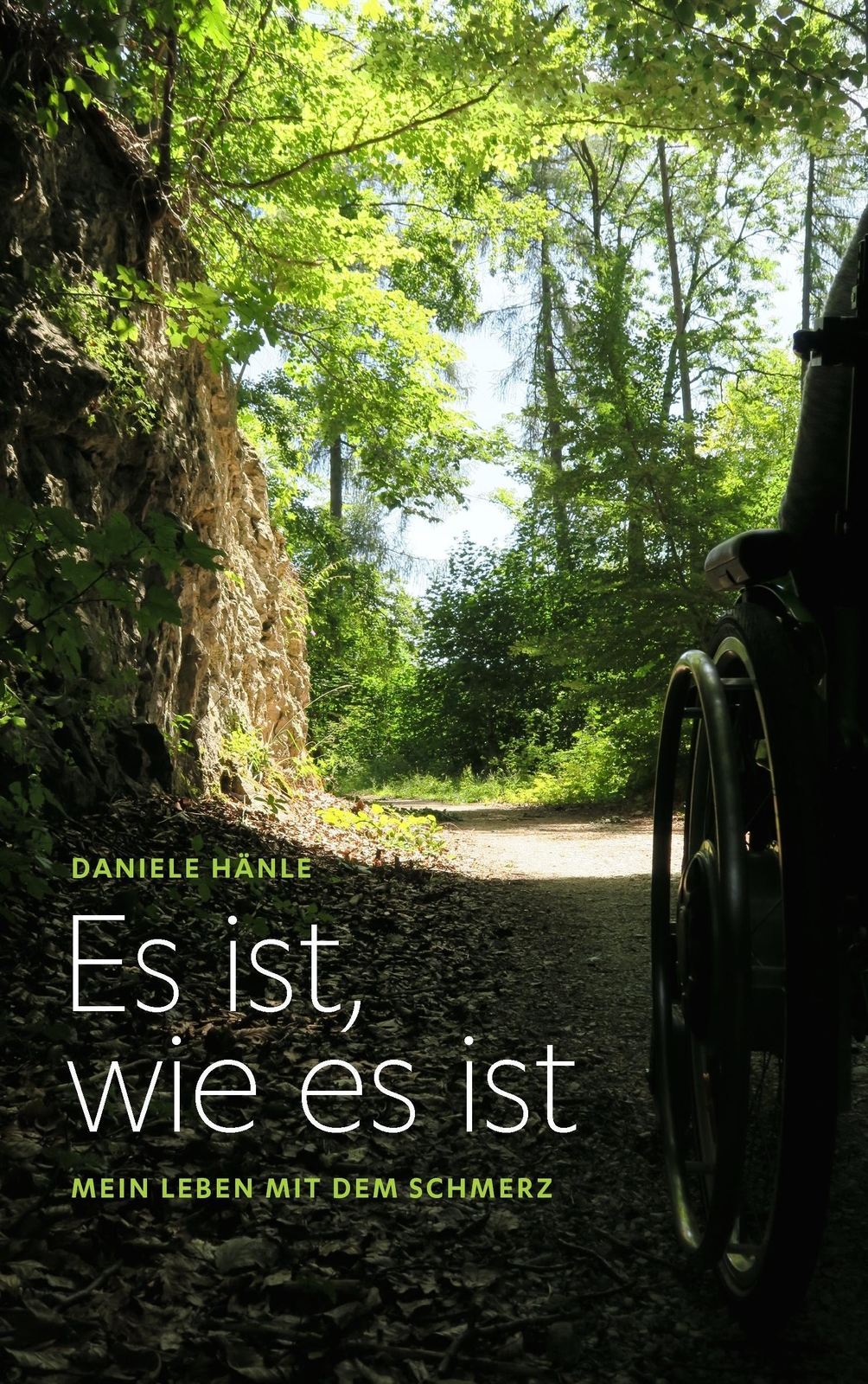 Es Ist, Wie Es Ist Mein Leben Mit Dem Schmerz Daniele Hänle