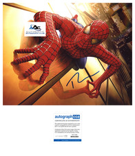 Ultimate Guide to Spider-Man Collectibles 11