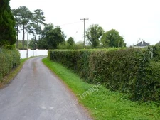 Photo 6x4 Trimmed hedges Cionn Atha Gad On a side road off the R161. c2011