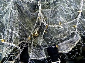 Agent Provocateur Soiree 34D bra waspie thong silver chains gold thorns crystals