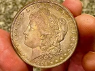 1904-O Rose Pastel Toned Morgan Silver Dollar $1 Ch Bu High Grade Coin