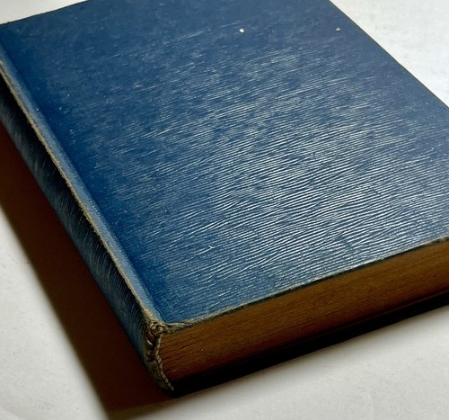 Four Little Blossoms on Apple Tree Island By Mabel C Hawley 1921 Edition HC Book - Foto 5 di 13