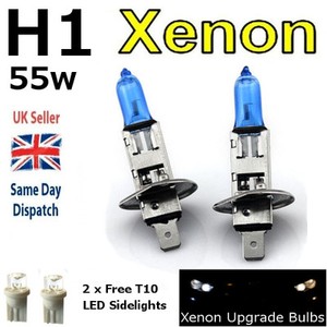 What Is Autoflowering Cannabis Autoflowering Cannabis Blog