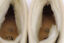 Indexbild 3 - Footprints Gr.37 Damen  Stiefel  Stiefeletten Boots   Nr. 283 E