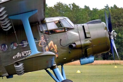 300841/ Foto   Antonov An-2   D-FUKM   Nauen (2021)