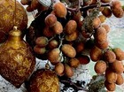 Foto 5 di 24
