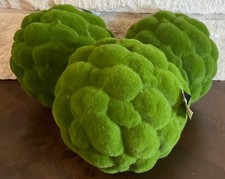 THREE Napa Home and Garden 11.5" Mood Moss Orbs, NWT, Great