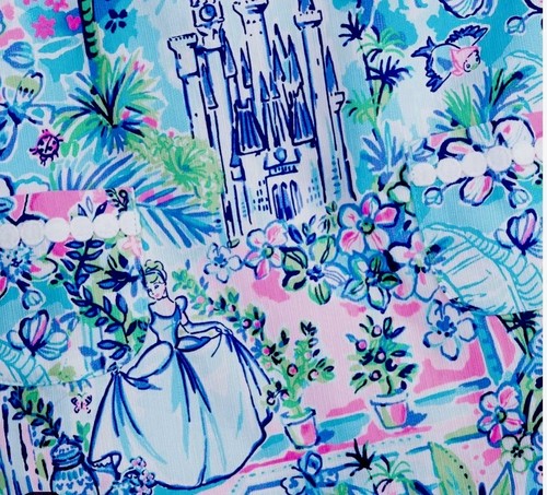 2025 Disney Parks Cinderella Dress LILLY PULITZER 5 Girls Kids Castle Carriage - Picture 7 of 7