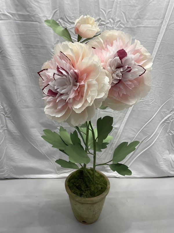 The Green Vase Paper Peony Plant 28" Pink Aged Terra Cotta Pot
