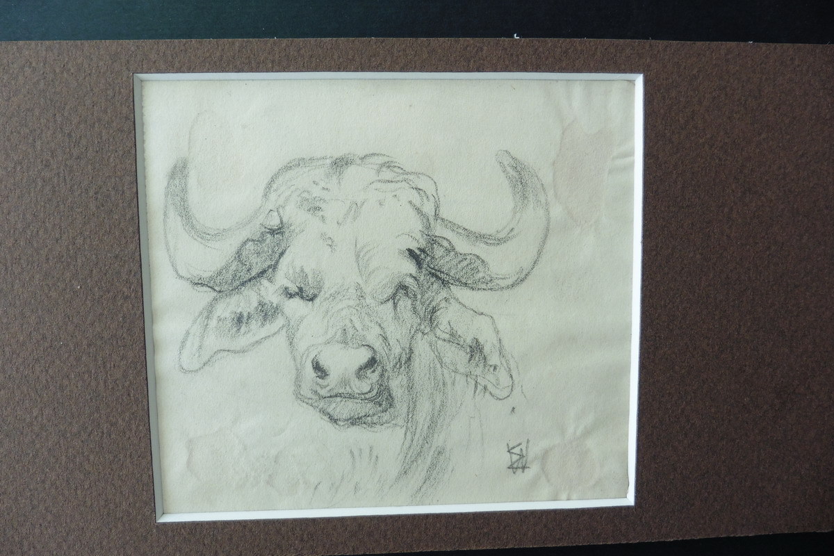 Overbought S&P500. Ну и ...?