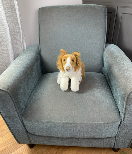 Animal Alley Collie Hund Plüschtier Sheltie Shetland Schäferhund 14 Zoll Toys R Us - Bild 3 von 9