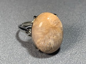 Natural Silicified Coral Fossil Flower Agate Ring/ Adjustable