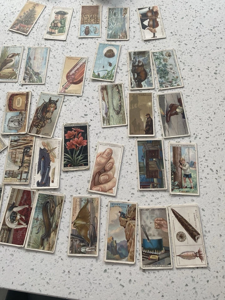 Cigarette Card Bundle Joblot Vintage Wills Happy Family Ships Badges Wild Flower - Image 3 of 4