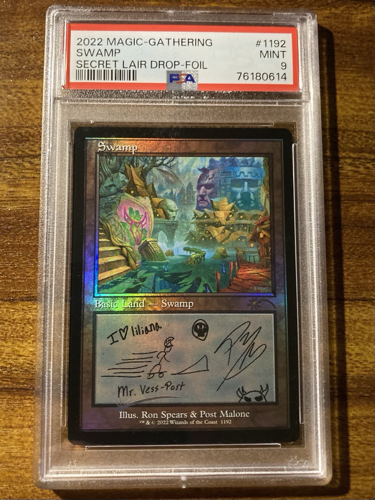 Picture 1 of 11