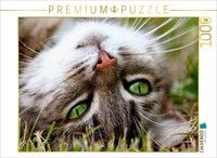 Calvendo Puzzle Nahaufnahme Einer Katze | 1000 Teile Lege-GrößE 64X48Cm Foto-Puz