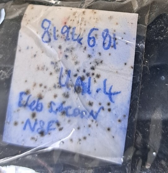 BMW E46 Touring Sealing Door Seal 8194681 Edge Protection for sale  