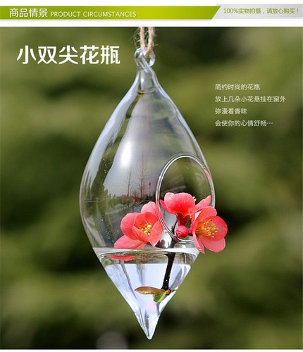 10pcs Teardrop Glass Terrarium Hanging Vase Wall Mounted Flower Vase Home Garden - Picture 2 of 7