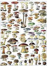 Laminated Wall Art Poster 18X24 Made In Usa Tear Resistant Durable Print
