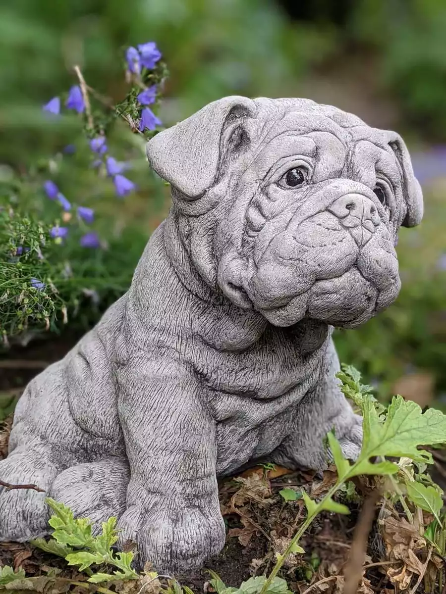 Grey hotsell puppy bulldog