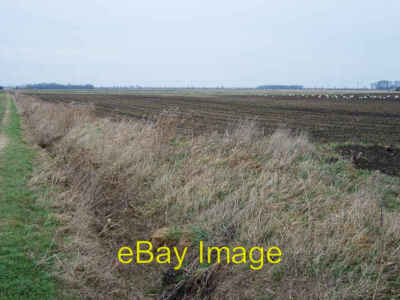 Foto 6x4 Wilde Schwäne im Venn Zehn Meilen Ufer Tausende von Whooper und B c2009