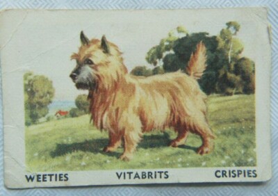 Australian Vitabrits Weeties Tailwaggers 52 Cairn Terrier