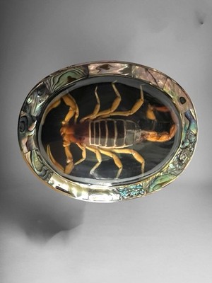 Genuine Scorpion Silver Alpaca W/Abalone Belt Buckle  Hebilla C/Alacran Original