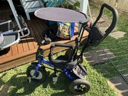 little nation push trike deluxe