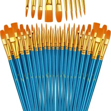 Paint Brushes Set, 5 Pack 50 Pcs Round-Pointed Tip Paintbrushes Nylon Hair Artis