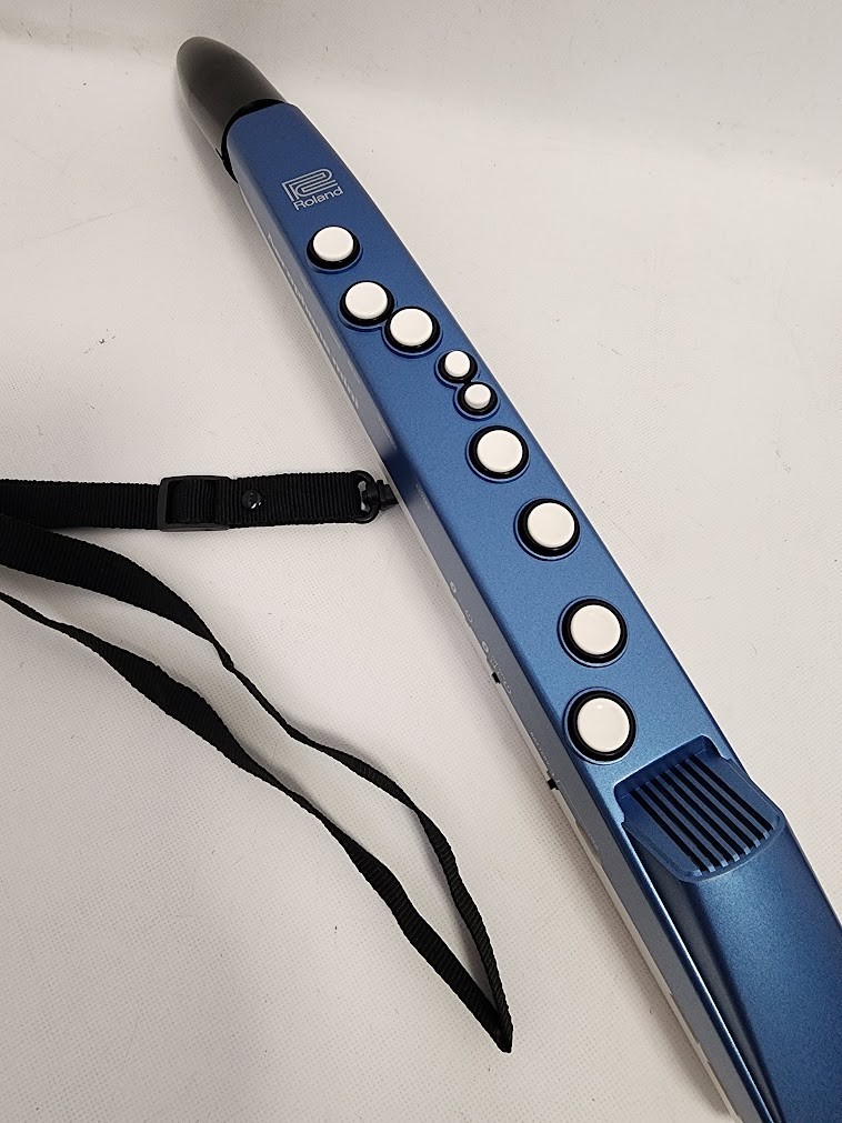 Roland AE-01 Aerophone Mini Digital Wind Instrument | eBay