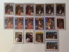 Michael Jordan Basketball Card Lot of 17 cards.