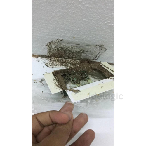 1x Box Termite System DIY Monitoring System Termite Colony Organic Home Garden - Picture 5 of 10
