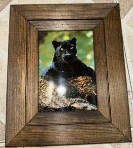 raymie918 | eBay Stores